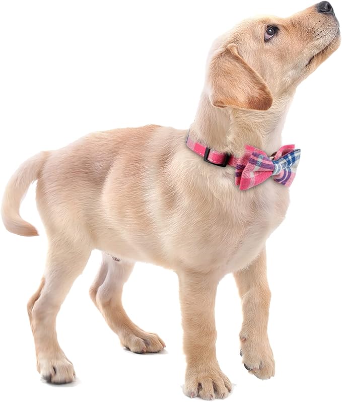 Faleela Soft &Comfy Bowtie Dog Collar, Detachable and Adjustable Bow Tie Collar - Image 6