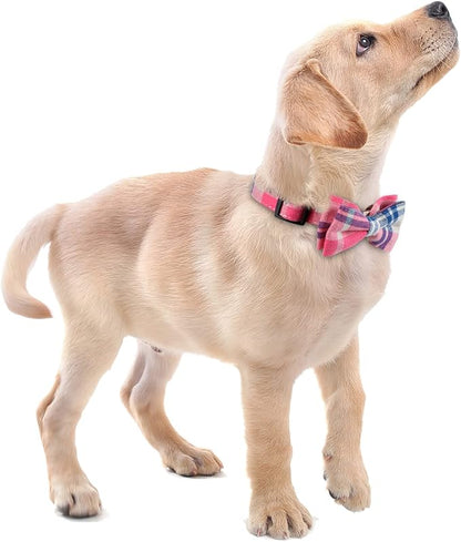 Faleela Soft &Comfy Bowtie Dog Collar, Detachable and Adjustable Bow Tie Collar - Image 6