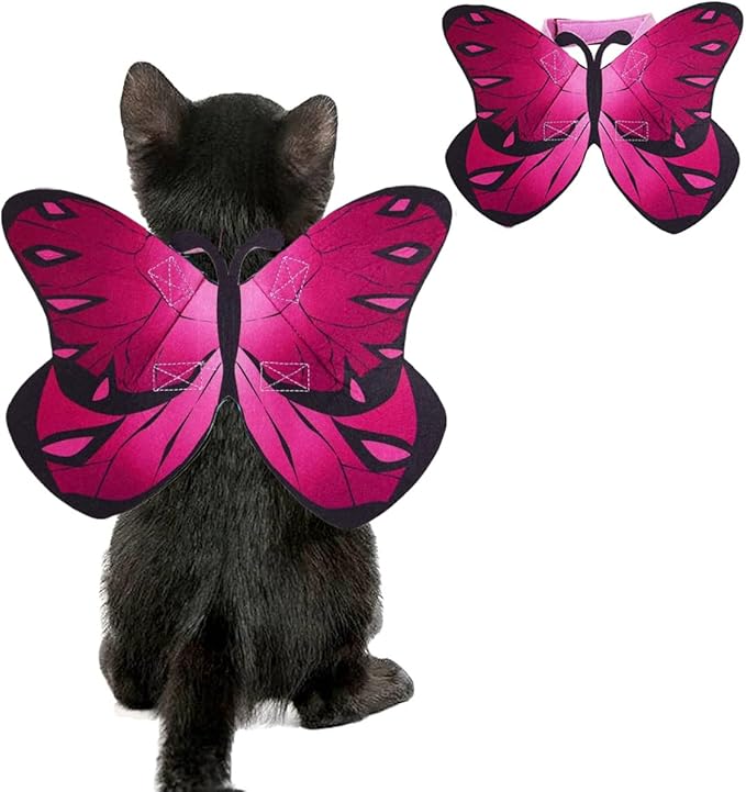 Pet Cat Bat Wings for Halloween Party Decoration, Puppy Collar Leads Cosplay by Puoyis