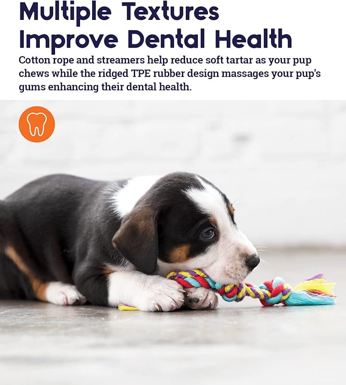 Petstages Orka Mini Dental Dog Chew Toys - Image 5