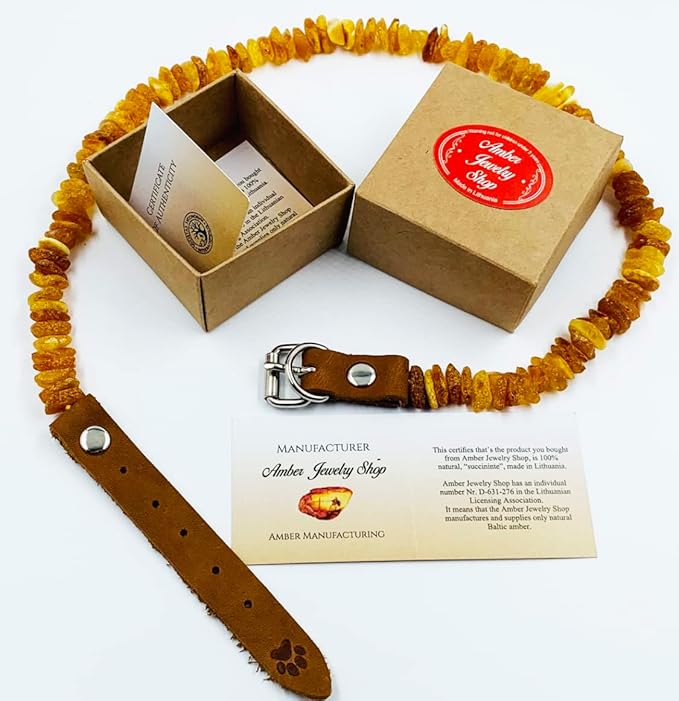 Baltic Amber Dog & Cat Collar - Image 5