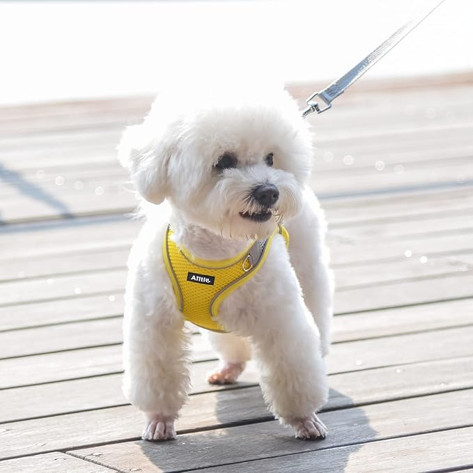 AIITLE Easy Walk Dog Harness and Leash Set - Image 2