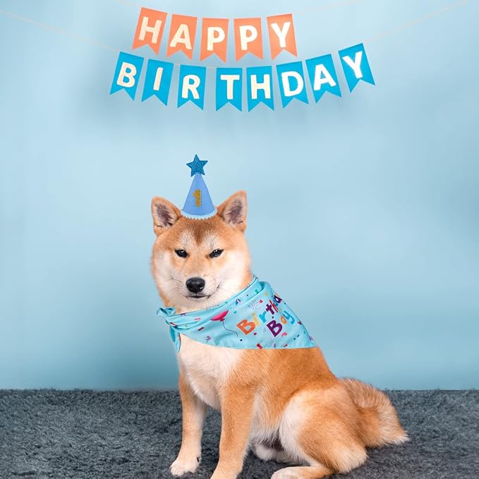 Dog Birthday Party Supplies, Dog Birthday Bandana Set, Dog Boy Girl Birthday - Image 9