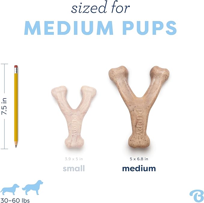 Benebone Puppy Wishbone Durable Dog Chew Toy - Image 4