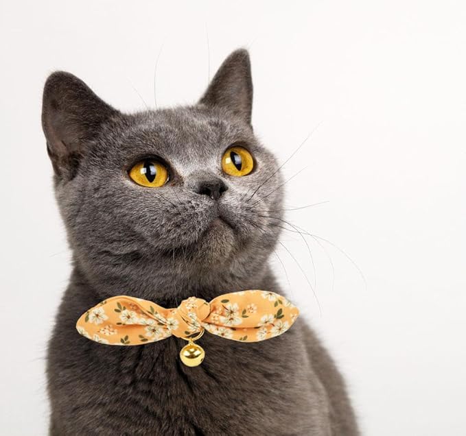 Bowtie Cat Collar with Bell, 2 Pack Cotton Breakaway Kitten Collars with - Image 6