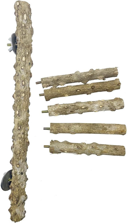 Allazone 3 PCS Nature Wood Bird Ladder Perch Nature Wood Stand Parrot Chew Toy - Image 4
