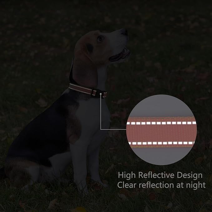 Reflective Dog Collar Padded - Image 5