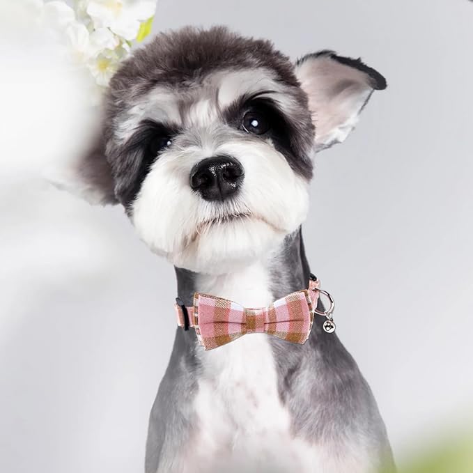 SuperBuddy Dog Collar, Adjustable Dog Collar - Image 6