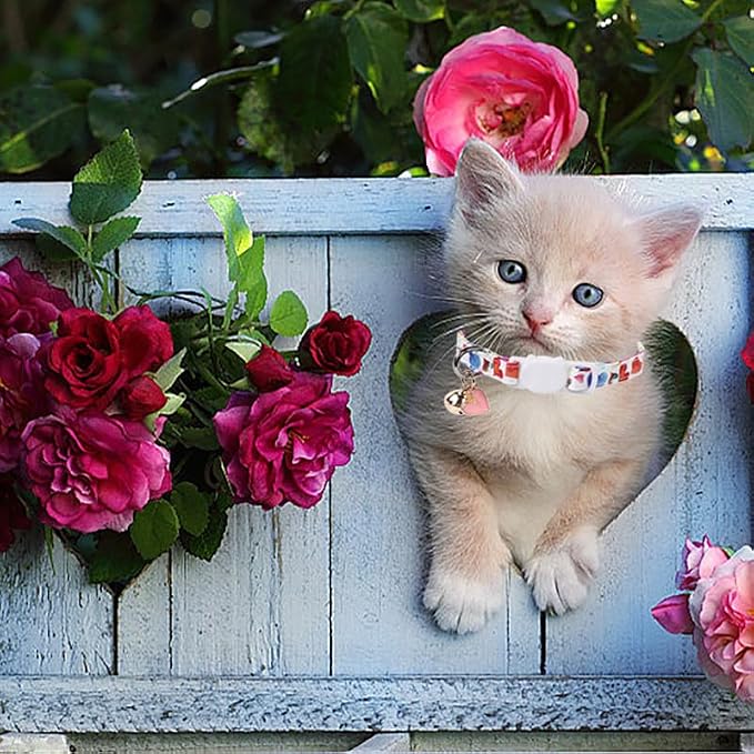 Lionet Paws 2pcs Pack Valentine's Day Cotton Cat Collar - Image 2