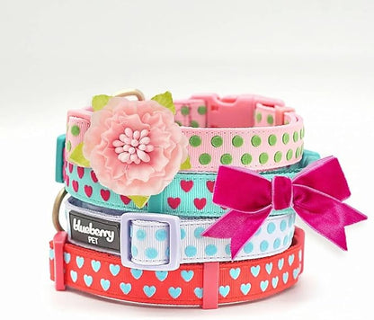 Blueberry Pet Valentines Day Dog Collar by BlueberryPet