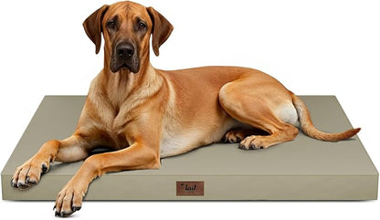 Outdoor Extra Large Dog Bed, Jumbo Waterproof Dog Bed by TailStories