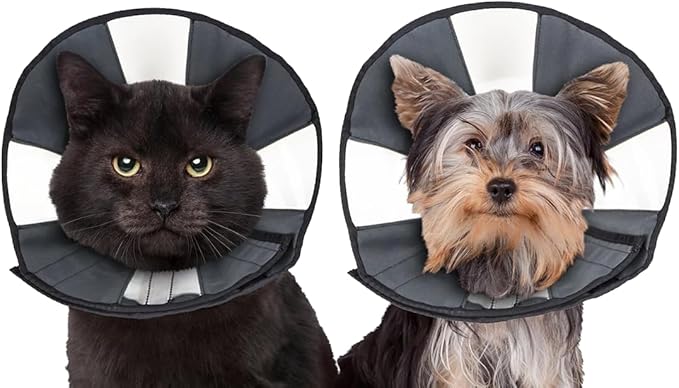 ZenPet Recovery Cone E-Collar for Dogs & Cats – Soft, Comfortable, Safe & by ZenPet