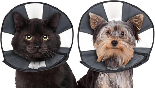 ZenPet Recovery Cone E-Collar for Dogs & Cats – Soft, Comfortable, Safe & by ZenPet
