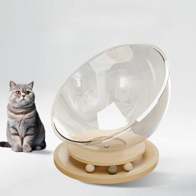 Space Capsule Cat Bed, Pet Furniture, Easy Cleaning, Universal Small Pets - Image 6