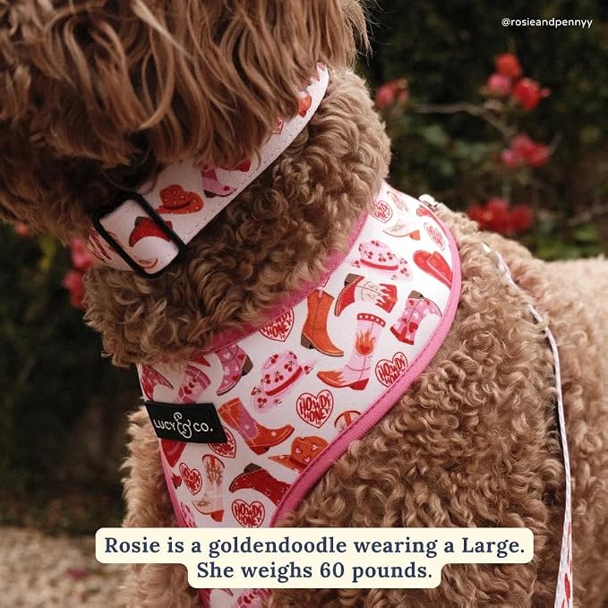 Lucy & Co. Howdy Honey Adjustable Dog Collar- Cute Designer Pet Collar - Image 2