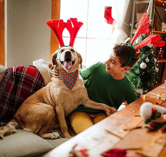 Lionet Paws Cotton Christmas Dog Bandanas, Autumn Scarves - Image 4