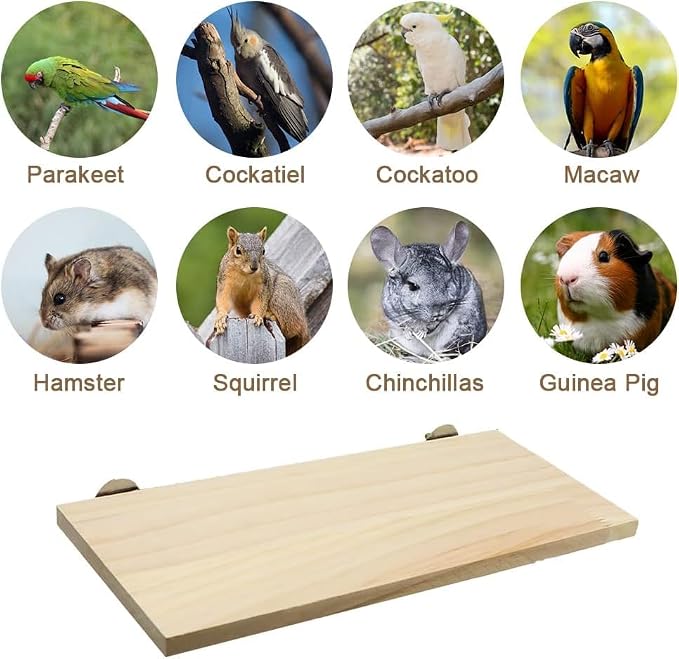 Litewoo Parrot Bird Wood Perch Platform Large Stand Shelf - Image 6