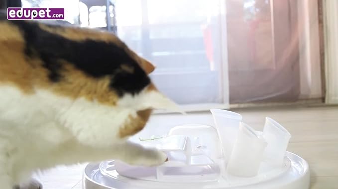 Cat-Center - 7-in-1 Pet Activity Center, Cat Toy Game, Educate & Entertain Your - Image 8