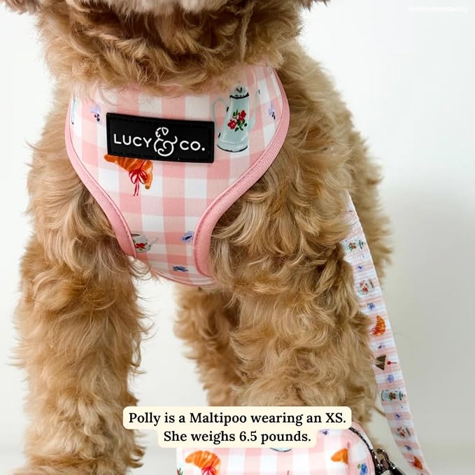 Lucy & Co. Sipping Slowly Reversible Dog Harness, Adjustable Comfort Fit - Image 5