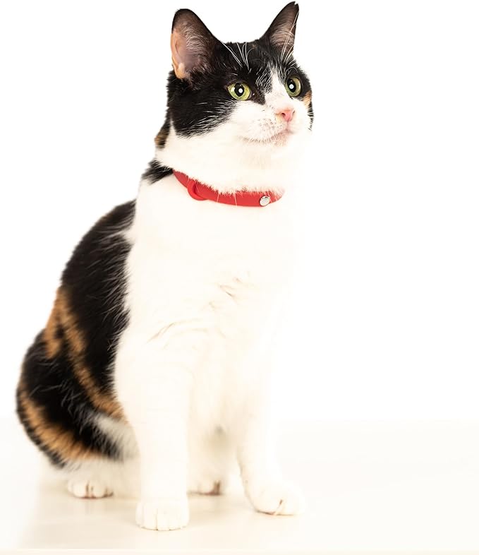 Red Cat Collar - Soft, Comfortable, and Lightweight Breakaway Collar - Image 6