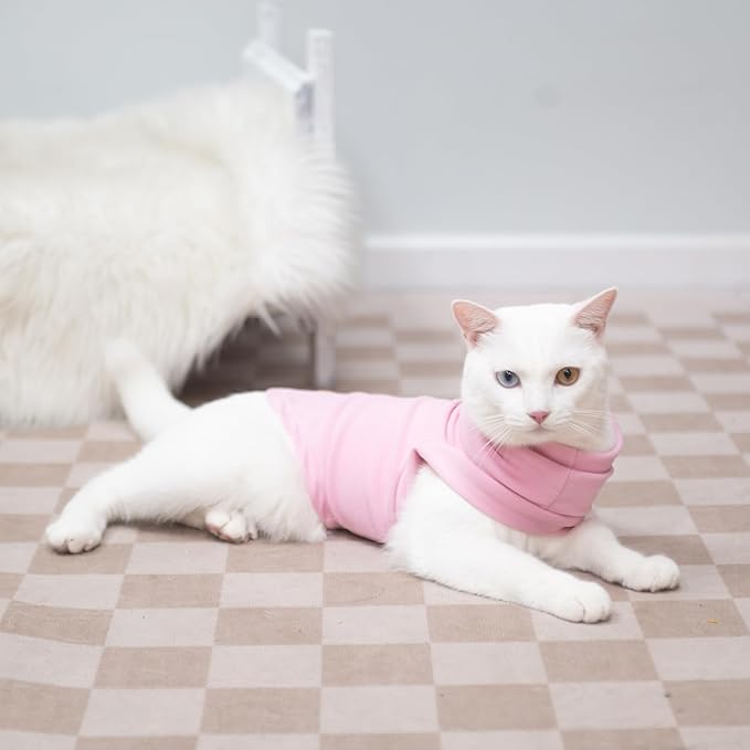 EXPAWLORER Soft Cat Sweater - Image 5