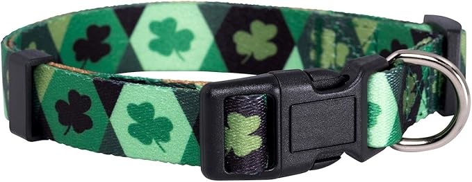 Native Pup St Patricks Dog Collar- Saint Patrick Green Shamrock Pet Collars- by NativePup
