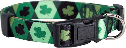 Native Pup St Patricks Dog Collar- Saint Patrick Green Shamrock Pet Collars- by NativePup