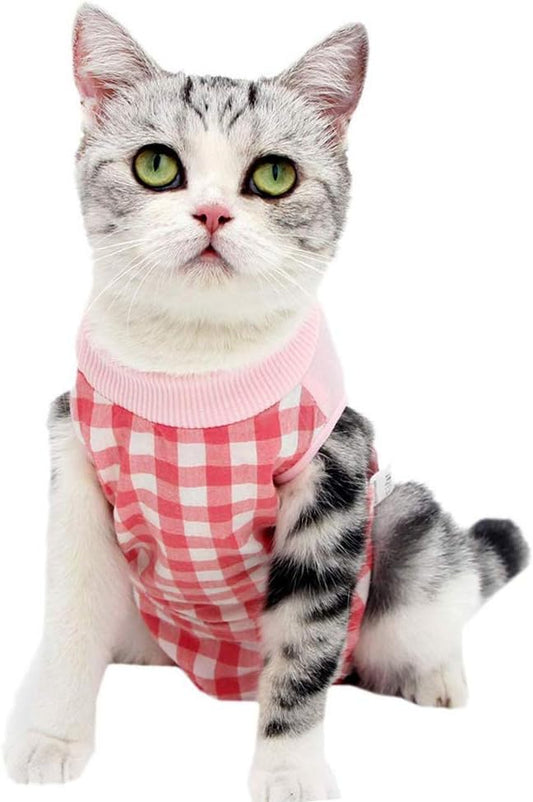 Cat Recovery Suit for Abdominal Wounds or Skin Diseases, Cat Onesie for Cats by Coppthinktu