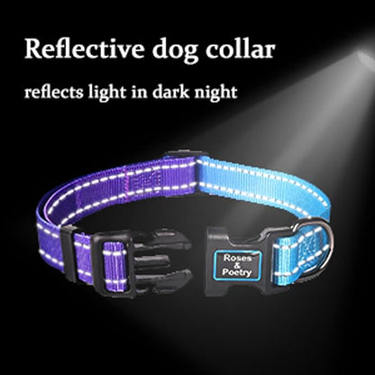 Roses&Poetry Reflective Dog Collar - Image 4