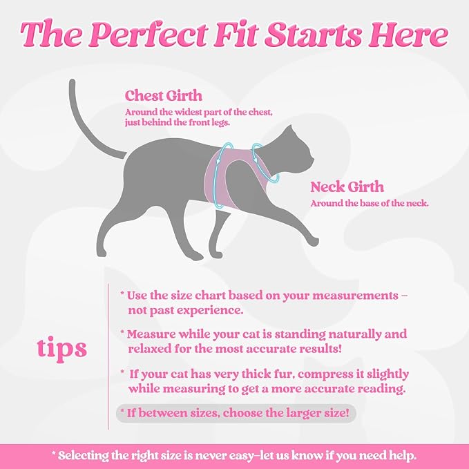 rabbitgoo Cat Harness and Leash Set - Image 2