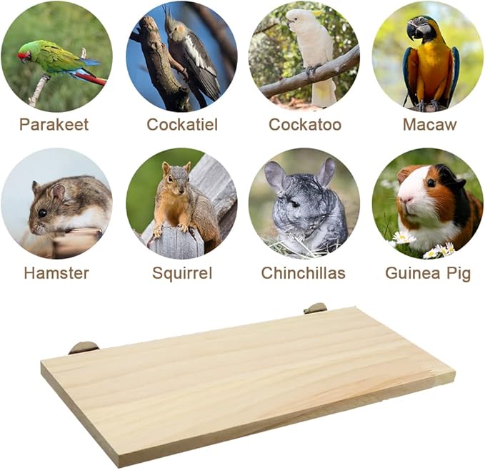 Litewoo Parrot Bird Wood Perch Platform Large Stand Shelf - Image 6