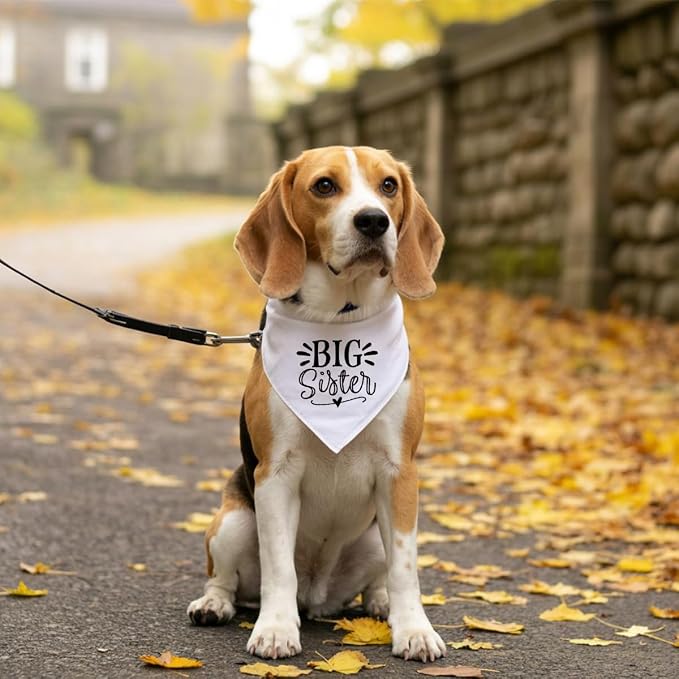 Big Sister Dog Bandana, Pet Triangle Scarf, Pet Bandana - Image 5