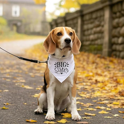 Big Sister Dog Bandana, Pet Triangle Scarf, Pet Bandana - Image 5