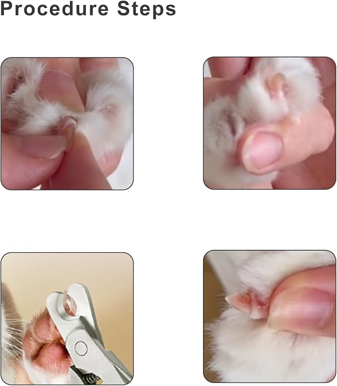 Dog Nail Trimmers & Cat Nail Clipper, Heavy Duty Stainless Steel Claw Clippers - Image 6