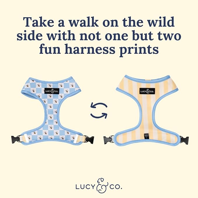Lucy & Co. Bumbling Around Reversible Dog Harness, Adjustable Comfort Fit - Image 4