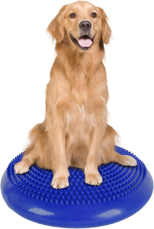 Dog Balance Disc 14", Dog Balance Equipment by Unknown