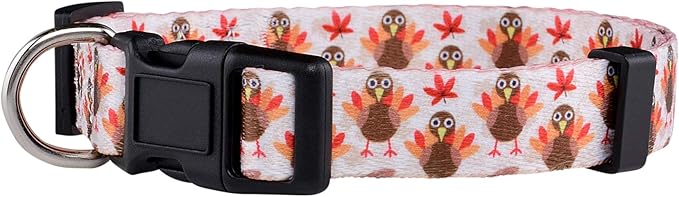 Native Pup Thanksgiving Dog Collar- Fall Collars by NativePup