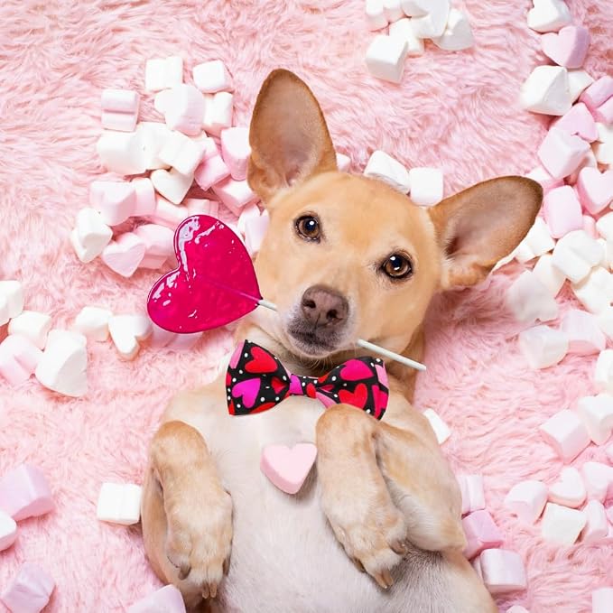Valentine’s Day Dog Collar Adjustable Puppy Collar - Image 7