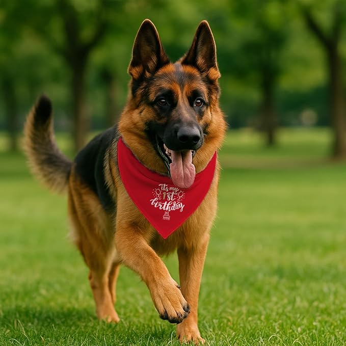 Birthday Dog Bandana, It's My 1 st Birthday Pet Costumes, Adjustable - Image 4