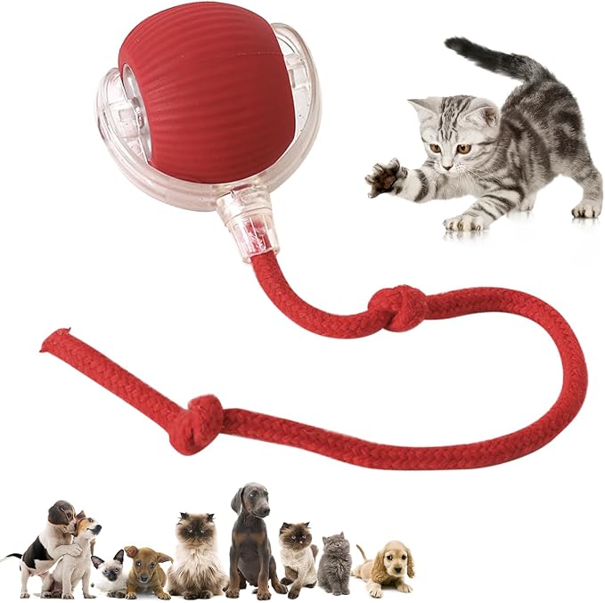 Chewie Viral 360 Smart Automatic Rolling Pet Ball - Image 9