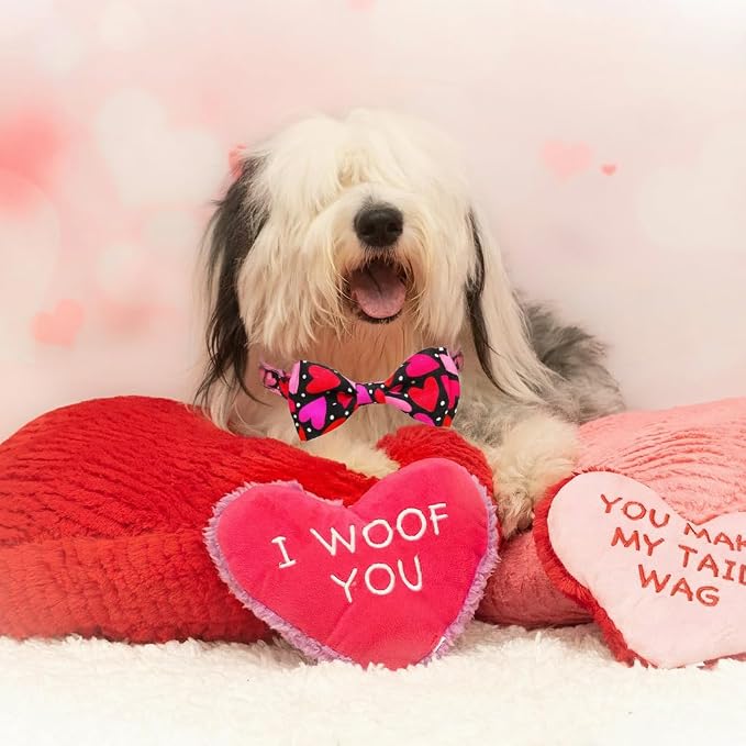 Valentine’s Day Dog Collar Adjustable Puppy Collar - Image 6