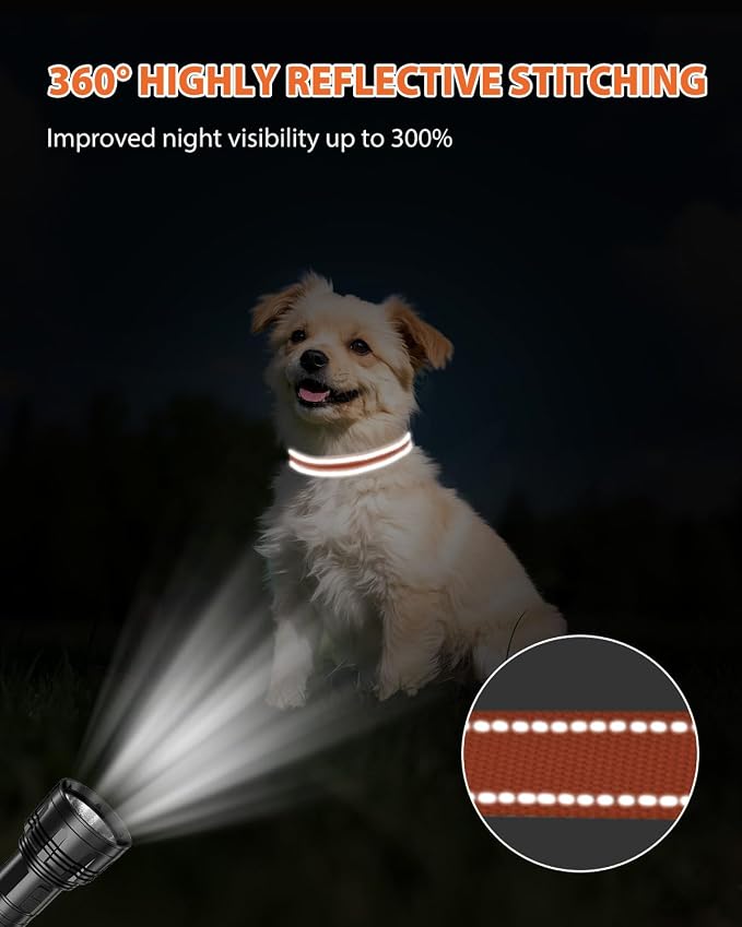 Joytale Small Dog Collar, Reflective and Adjustable Nylon Collar - Image 5