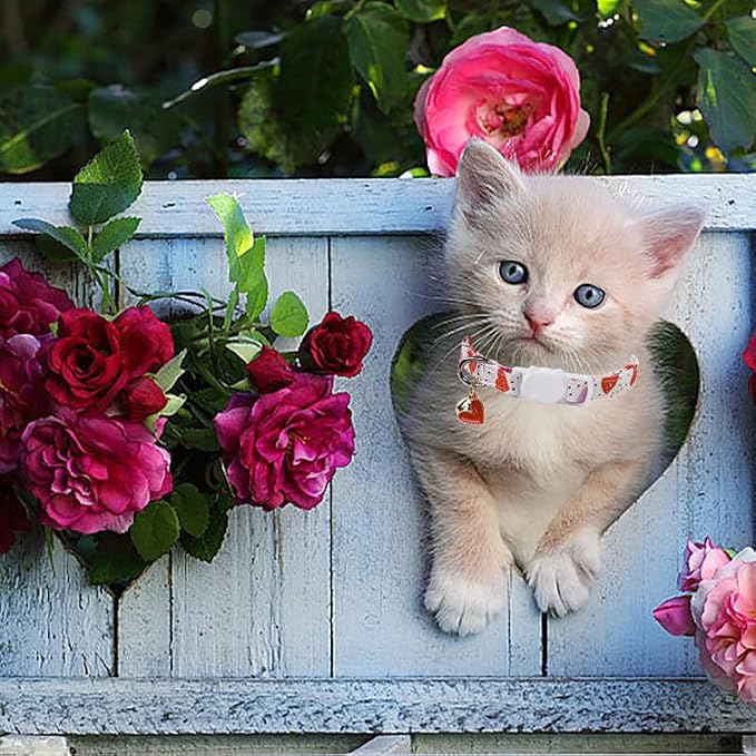 Lionet Paws 2pcs Pack Valentine's Day Cotton Cat Collar - Image 5