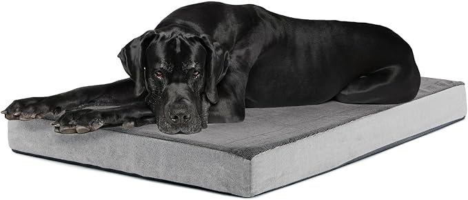 Barkbox Orthopedic Dog Bed by BARK