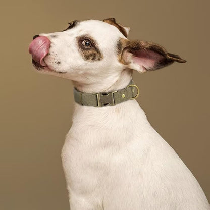 PET ARTIST Dog Collars for Small Dogs, Soft Padded Premium Nylon Dog Collar - Image 2