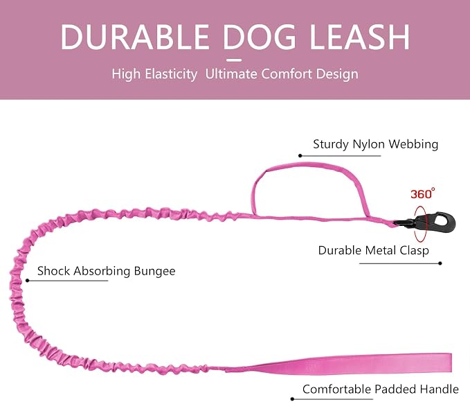 DAGANXI Tactical Dog Collar, Adjustable Military Training Nylon Dog Collar - Image 5