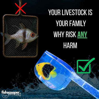 Fish Scooper, Acclimation Container, Fish Trap, Floating Fish Net, Axolotl Tank - Image 5