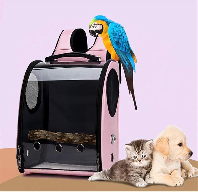 Bird Carrier Clear Parrot Outing Backpack APET Transparent Acrylic Bird Travel by Unknown