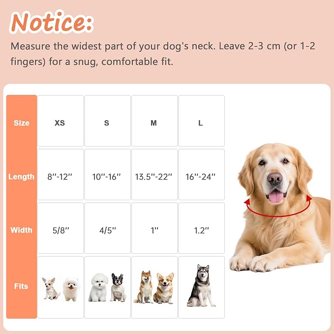 Dog Collar for Extra Small Dogs, Spring &Summer Theme Orange Small Dog Collars - Image 2