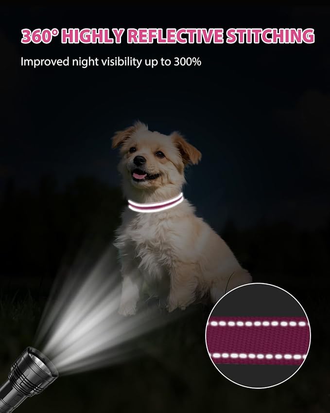 Joytale Small Dog Collar, Reflective and Adjustable Nylon Collar - Image 5